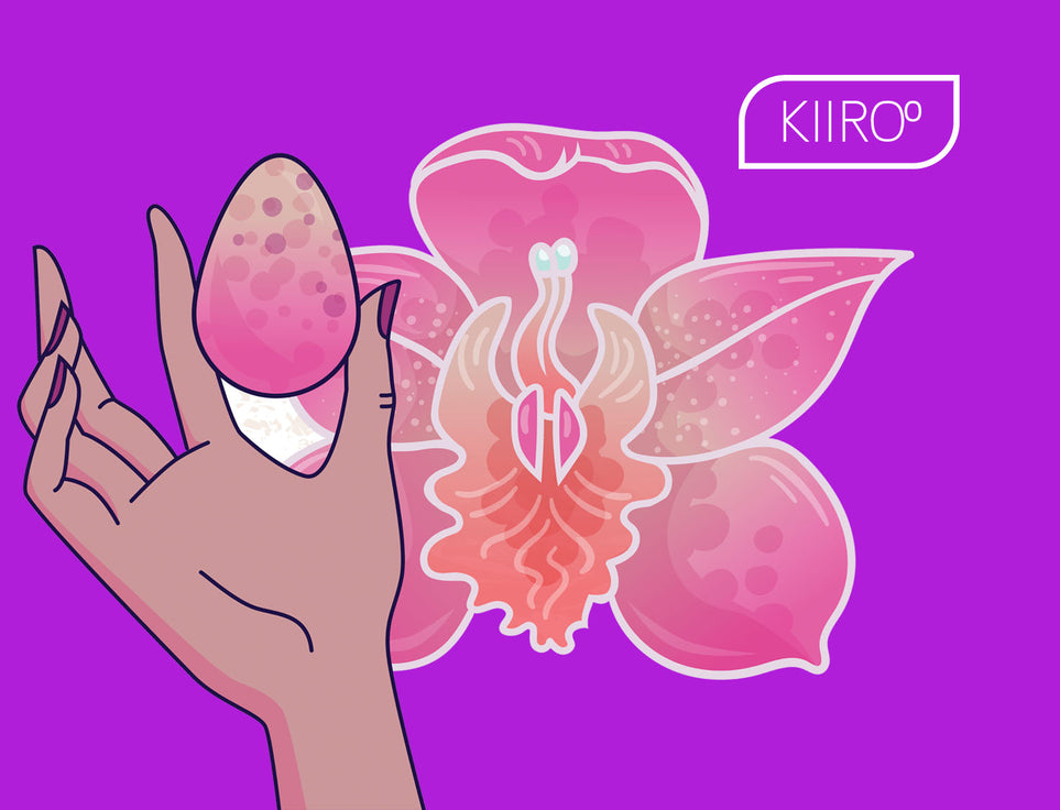 KIIROO-卵型セックストイに大金を使う理由